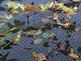 Blagdon Clearview Pond Cover Netting 3m x 2m Black Double Weave 6 Pegs view 5