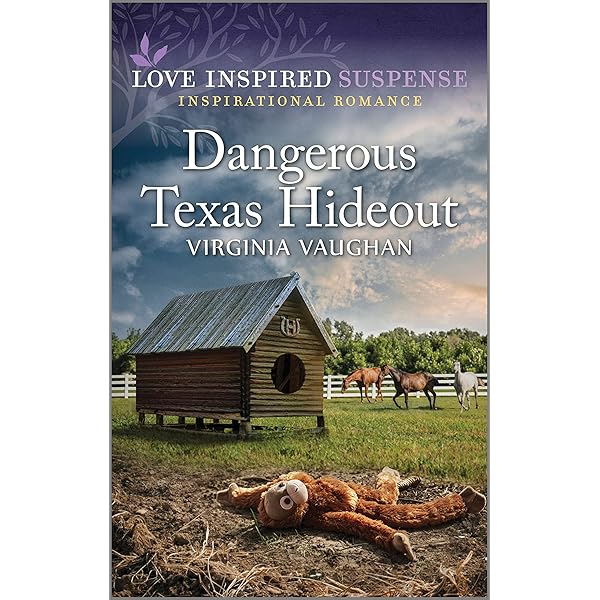 Theme Park Abduction (Love Inspired Suspense): Conway, Patsy