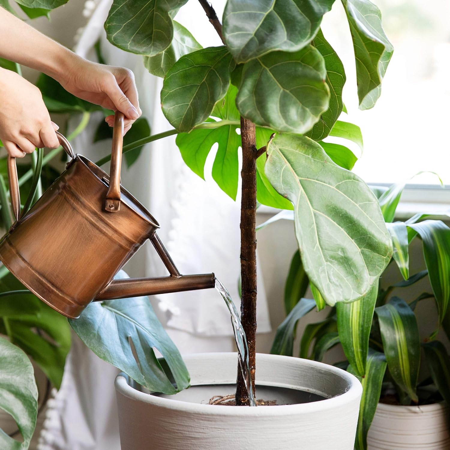 Homarden Half Gallon Copper Colored Metal Indoor Outdoor Plant Watering Can for House Plants with Removable Spout, 80oz : Garden & Outdoor