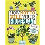 How Not to Kill Your Houseplant: Survival Tips for the Horticulturally Challenged