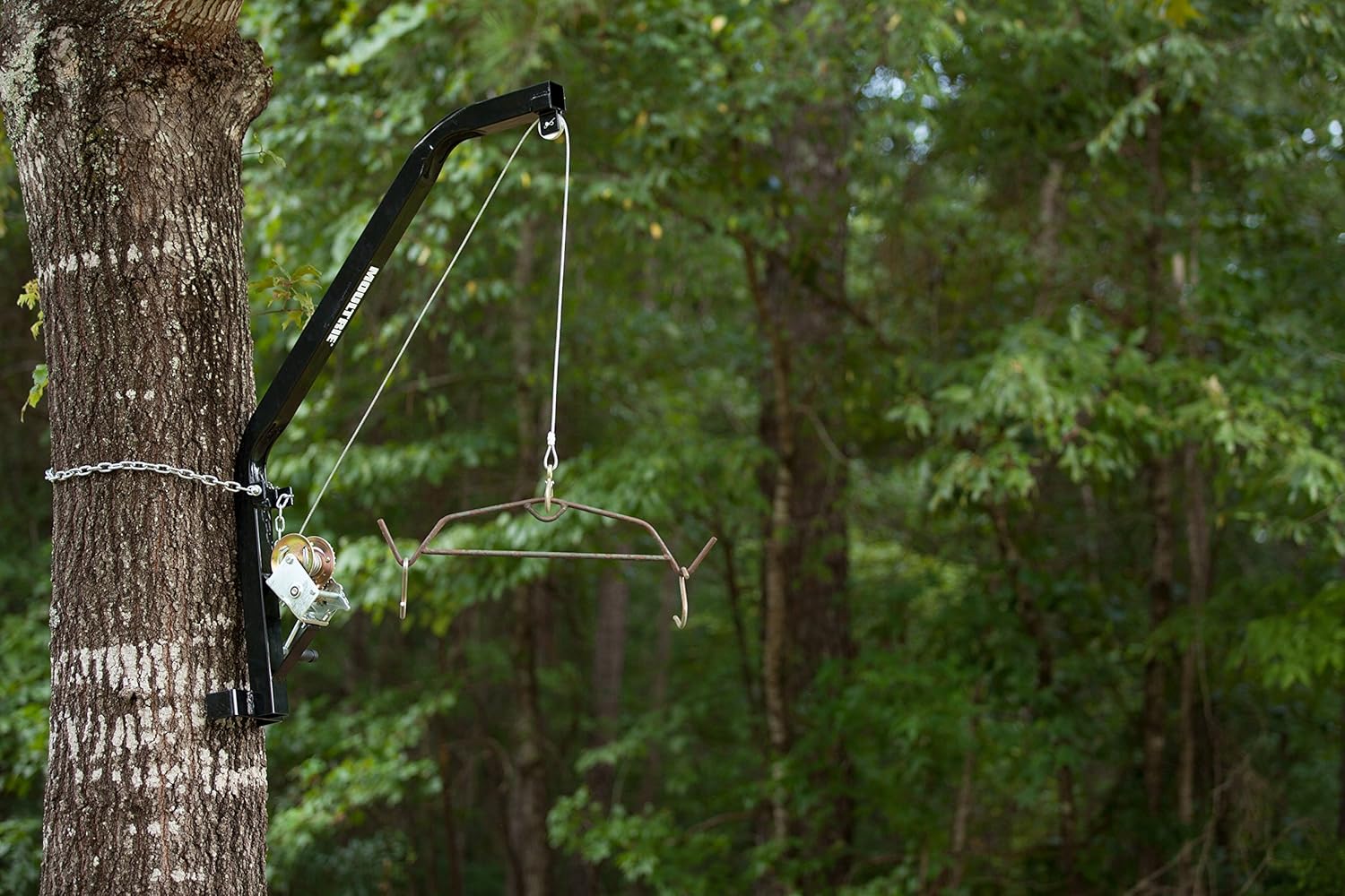 Amazon Com Moultrie Hanging Feeder Hoist Chain And Bracket