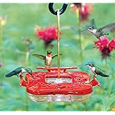 Aspects HummZinger Highview Square Hanging Hummingbird Feeder with Built in Ant Moat