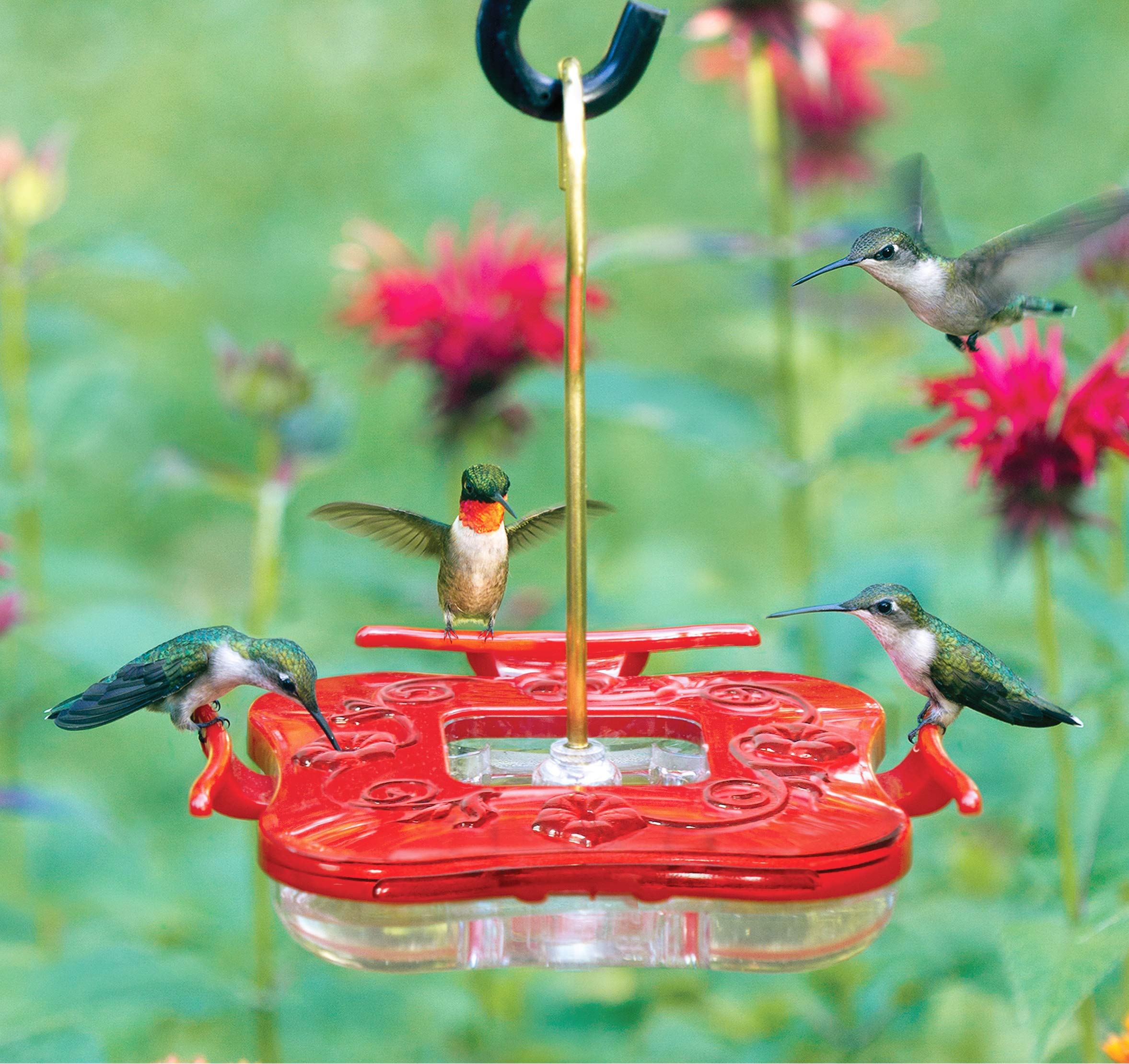 AspectsHummZinger Highview Square Hanging Hummingbird Feeder with Built in Ant Moat