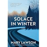 Solace in Winter: A Novel