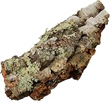 Komodo Mini Habitat Cork Bark Hide Shelter Reptile Mould Resistant 18x12cm view 3