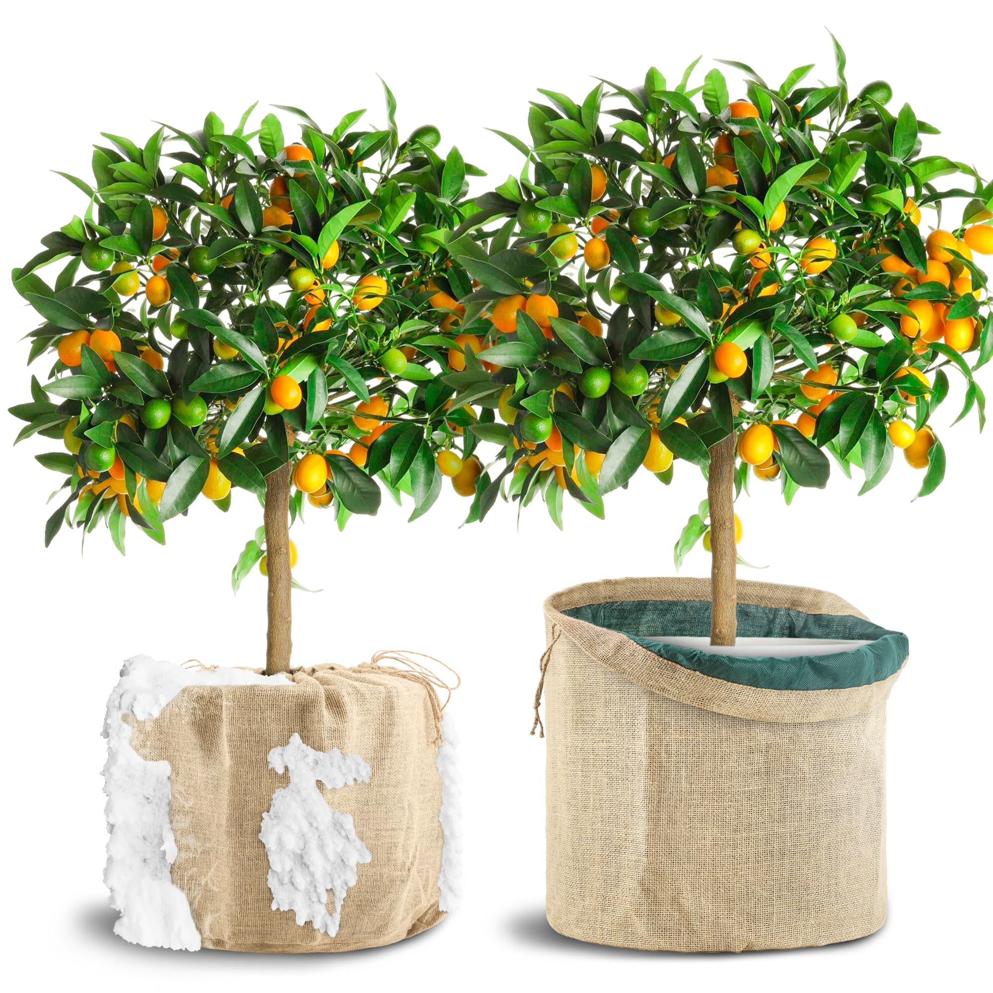 Photo 1 of 2 Pcs Winter Plant Covers for Pot, 13.7" X 15.7" Burlap Plant Freeze Protection Cover for Flower Pot, Outdoor Pot Covers for Winter with Drawstring, Potted Plant Covers for Plants (13.7”Dx15.7”H (S))