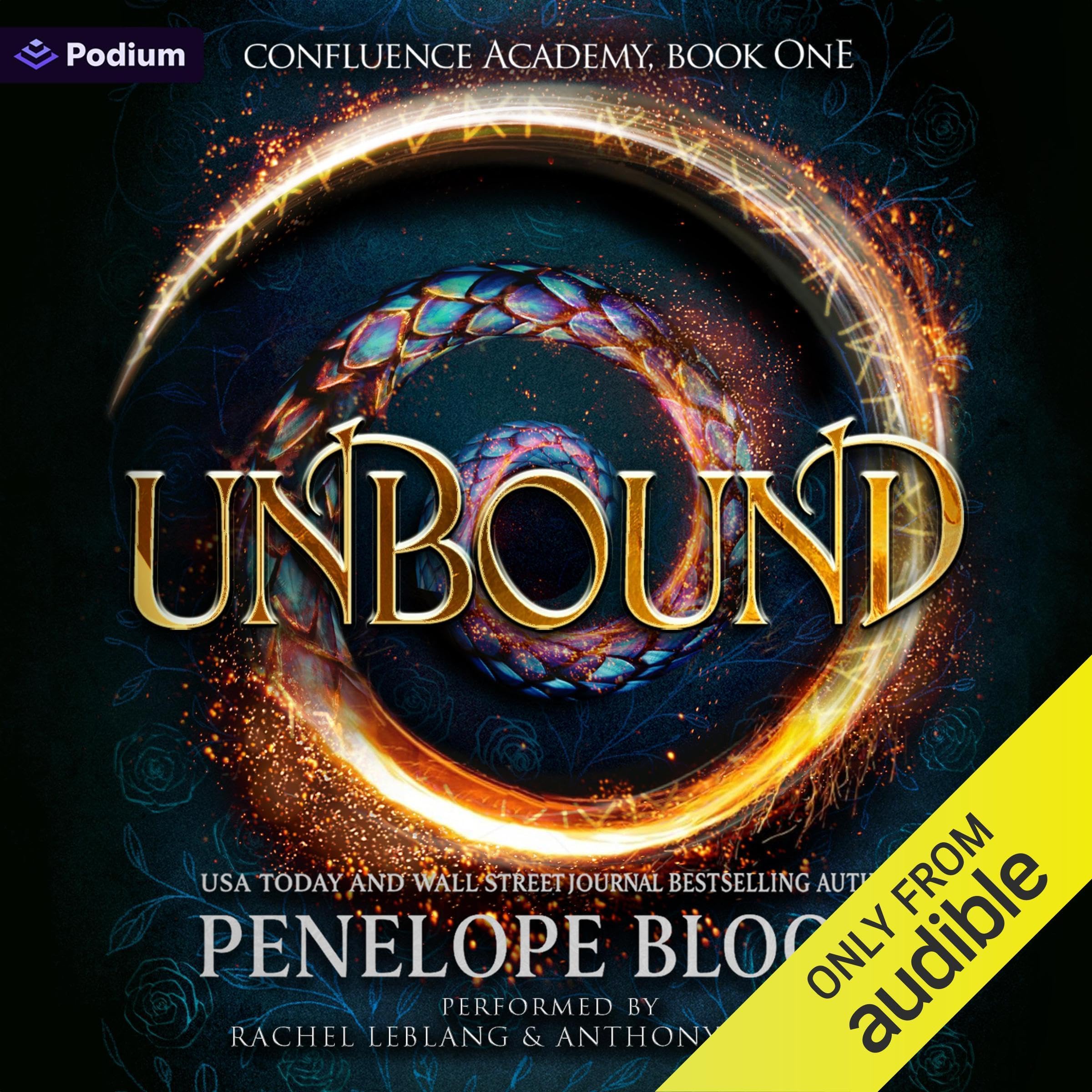 Unbound: Confluence Academy, Book 1 Image