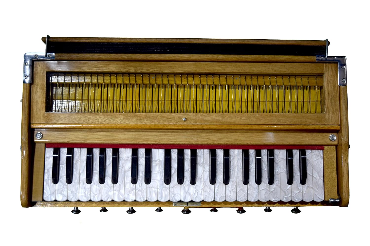 The Instrument World Double Bellow 39 Keys Bass Reed Amazon.in