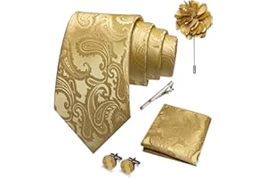 JEMYGINS Mens Paisley Tie and Pocket Square,Lapel Pin,Cufflinks,Tie Clip Sets with Gift Box 5PCS