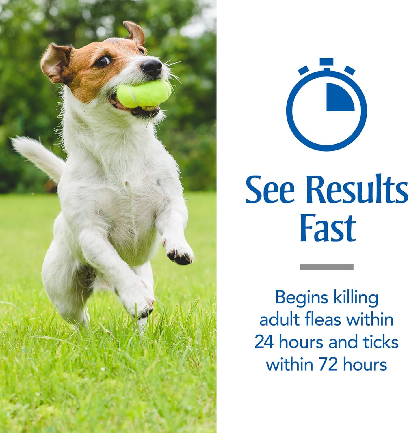 petarmor plus shampoo for dogs