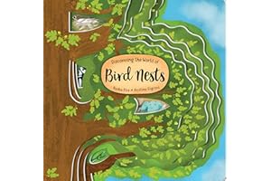 Discovering the World of Bird Nests (Happy Fox Books) One-of-a-Kind Board Book for Kids Ages 3-6 to Learn About Nests in an Oak Tree - Extra-Thick Board Pages, Fun Facts, and Vocabulary Words