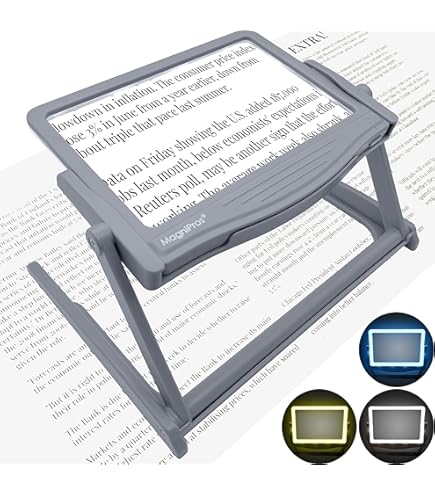 Loupe Règle Typoscope 2X En Acrylique Optique 20cm – Idéal Pour Malvoyants, Lecture Bible, Rapports Et Comptabilité