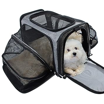large cat carrier top opening