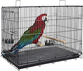 african grey travel carrier