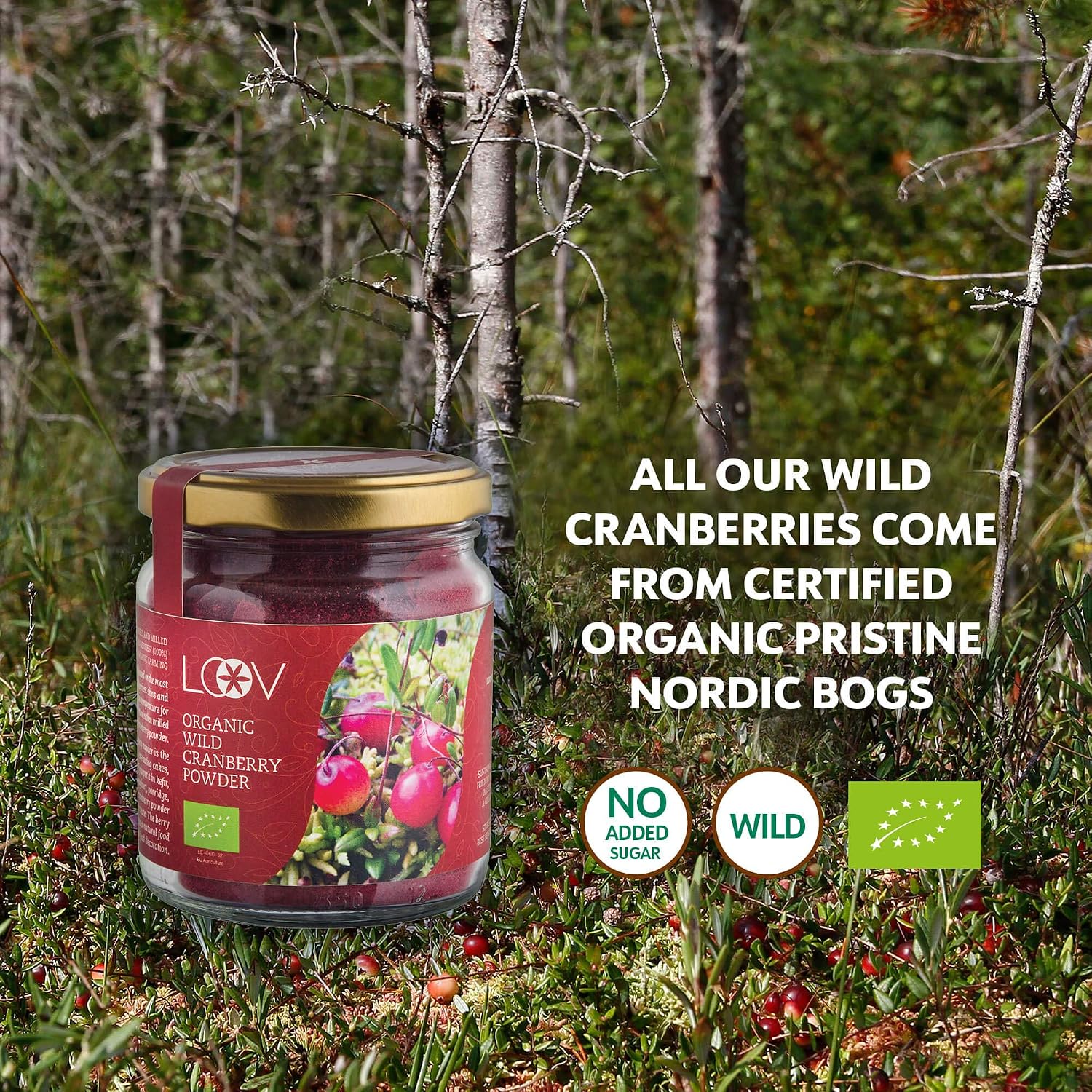 LOOV Organic Cranberry Fibre Powder (Pomace), Made from Pure Wild Nordic Cranberry Seeds and Skins - Image 4
