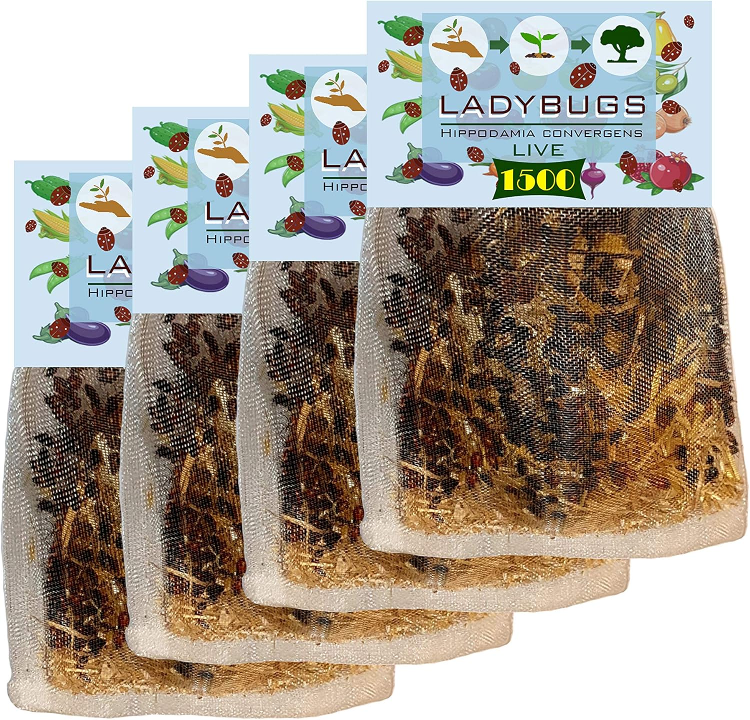 Good Bugs Guaranteed Live Delivery Ladybugs For Garden Clark Co Organic 9000 Live Ladybugs Beneficial Insects