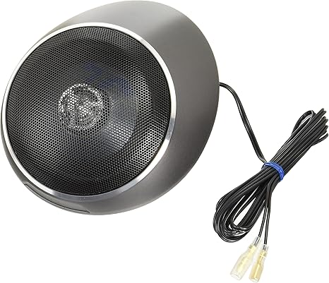 car center speaker