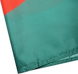 AZ FLAG Bangladesh Flag 3x5 Ft 100D Polyester with 2 Brass Grommets view 5