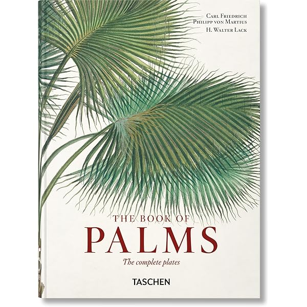 Palms Throughout the World: Jones, David L.: 9781560986164: Amazon