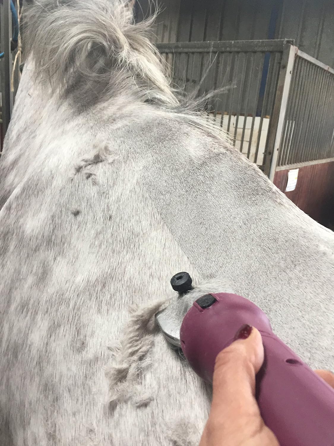 masterclip roamer cordless horse clippers