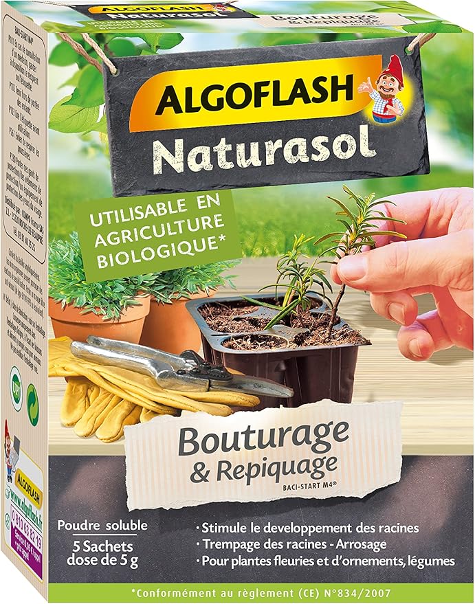 ALGOFLASH NATURASOL Poudre pour Bouturage & Repiquage, Utilisable toute l'année, 5 x 5 g ALGOFLASH NATURASOL Poudre pour Bouturage & Repiquage, Utilisable toute l'année, 5 x 5 g