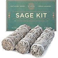 Handcrafted 4 Inch White Sage Sticks - Fresh, Natural California Sage Smudge Sticks with Instructions & Blessings - Wand Sage