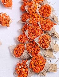 20-Piece Set Mini Magnet Dried Flowers Bouquet for