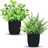 Der Rose 2 Pack Fake Plants Black Small Plants for Bathroom Decor | Pretty and realistic look, perfect for bedroom living room office desk kitchen and shelves，safe for pet households
