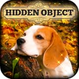 Hidden Object - Autumn Colors