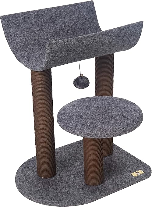 goldendoodle big size