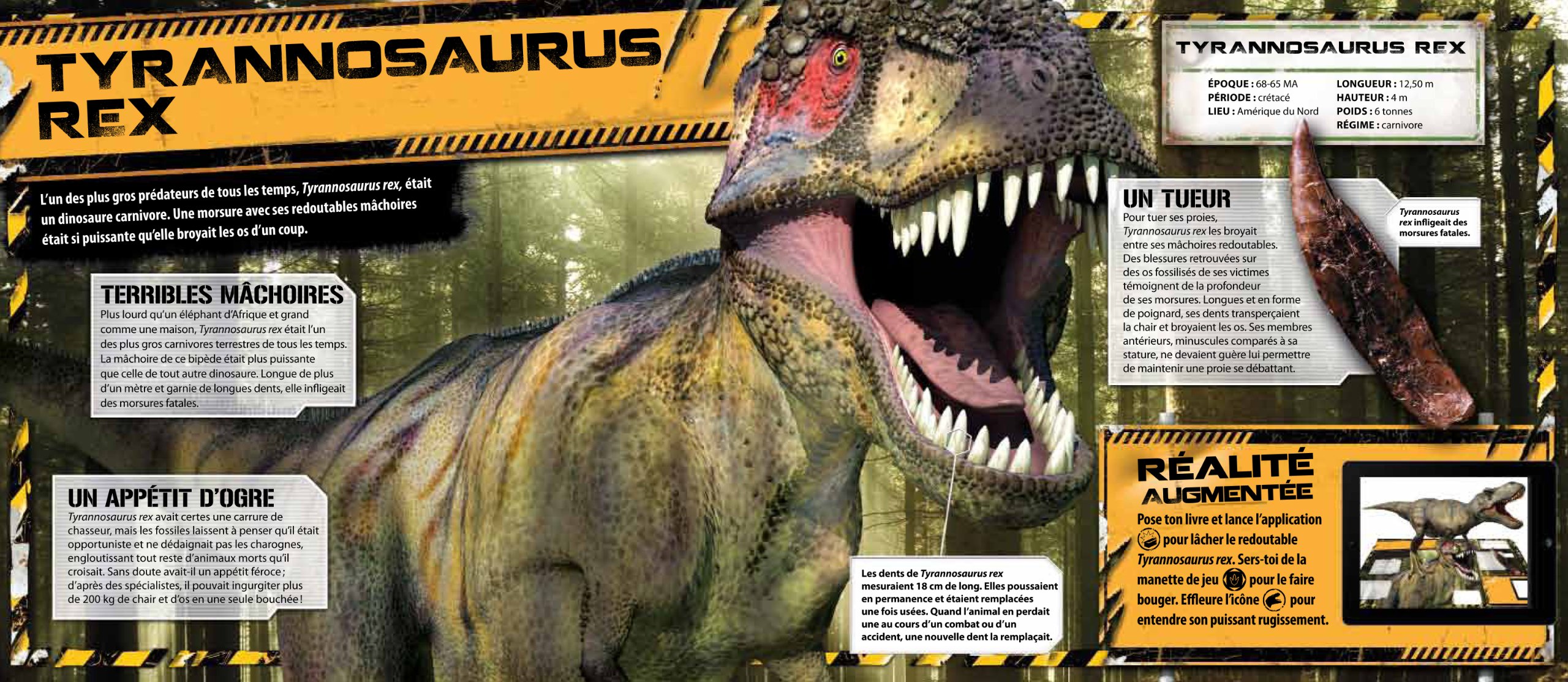 Dinosaures 3d Collectif Amazon Fr Livres Dinosaures 3d Collectif Amazon Fr Livres