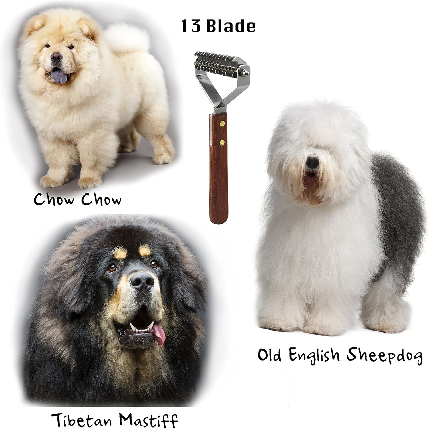 tibetan mastiff and chow chow