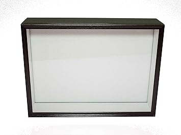 Amazon シーラ箱 標準 昆虫標本用品標本箱 シーラケース 昆虫 通販