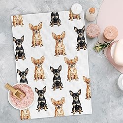 Yorhifa Chihuahua Dog Kitchen Dish
