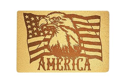 Amazoncom American Eagle Usa National Symbol Art Design