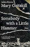Somebody with a Little Hammer: Essays