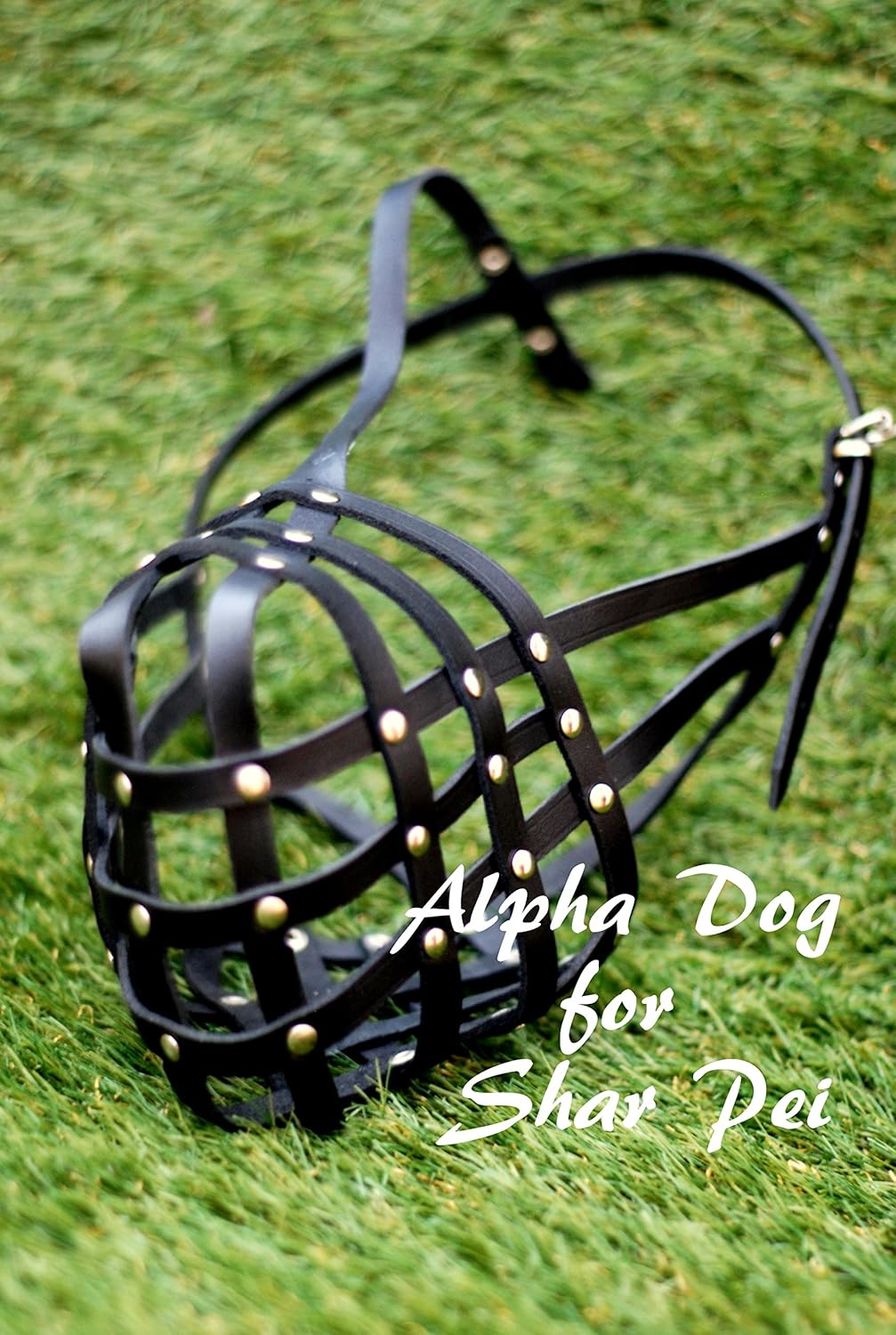 Light Leather Dog Muzzle for Shar Pei (Large) Amazon.co.uk Pet Supplies