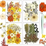 Dried Flowers, Resiners 100Pcs Pressed Flowers for