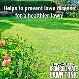 Pro-Kleen Lawn Tonic Liquid Iron Sulphate 5L - Grass Greener Fertiliser view 2