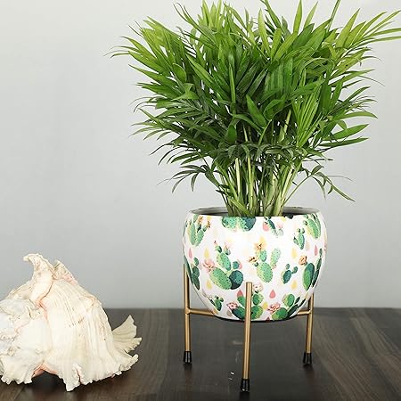Homspurts Designer Metal Pot with Stand (6 inches). Decorative Pots for Indoor Plants/ Metal Plant Pots for Living Room, Balcony and Garden/ Multipurpose Pot/Desktop flower planter/Home d
