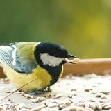 Copdock Mill Sunflower Hearts for Wild Birds 12.5kg No Mess Food view 6