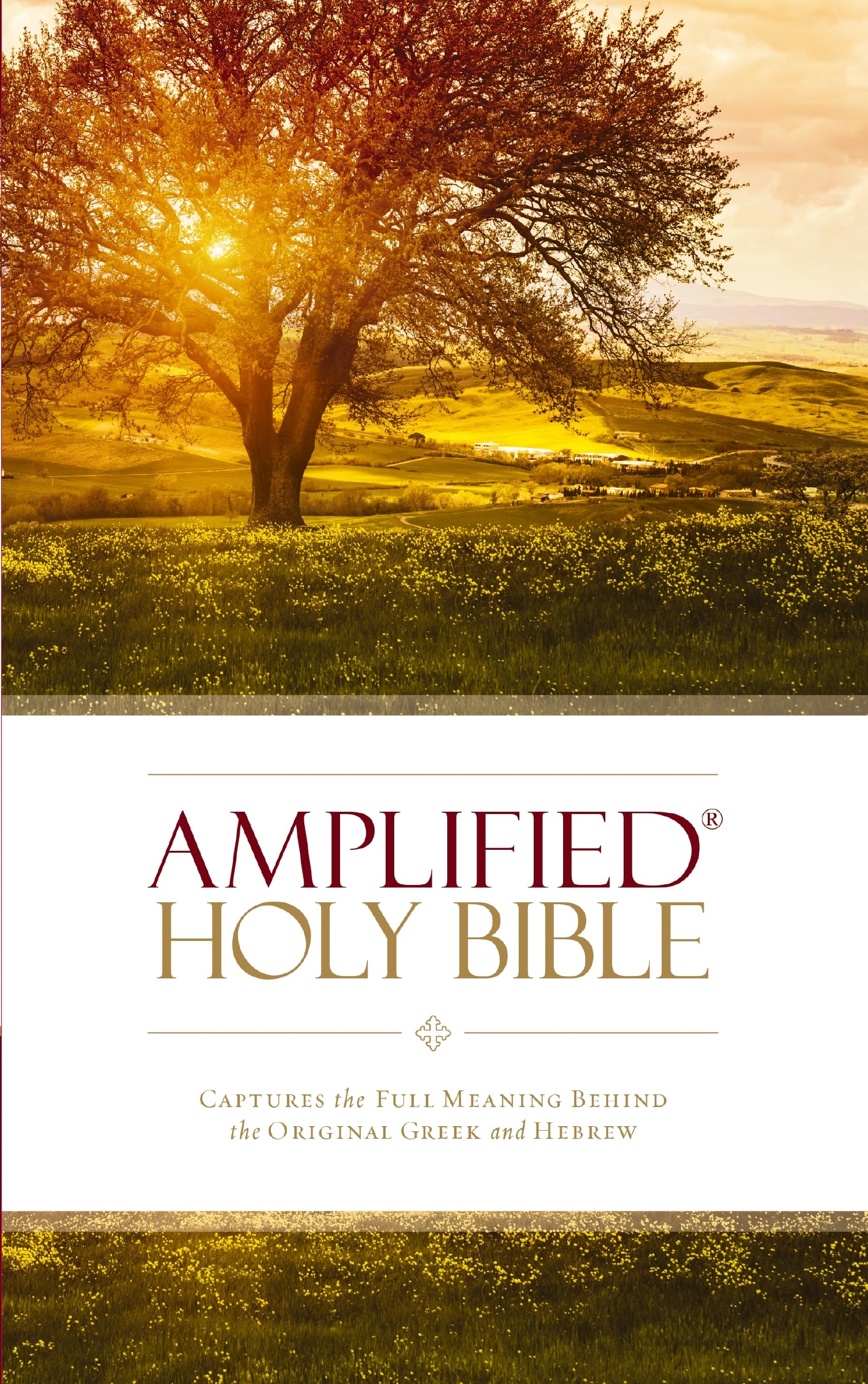 Amplified Holy Bible, Paperback: Captures the Full Meaning Behind the Original Greek and Hebrew Amplified Holy Bible, Paperback: Captures the Full Meaning Behind the Original Greek and Hebrew Paperback
