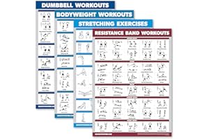 Palace Learning 4 Pack - Dumbbell Workouts + Bodyweight Workouts + Stretching Exercises + Resistance Bands - Set of 4 Workout