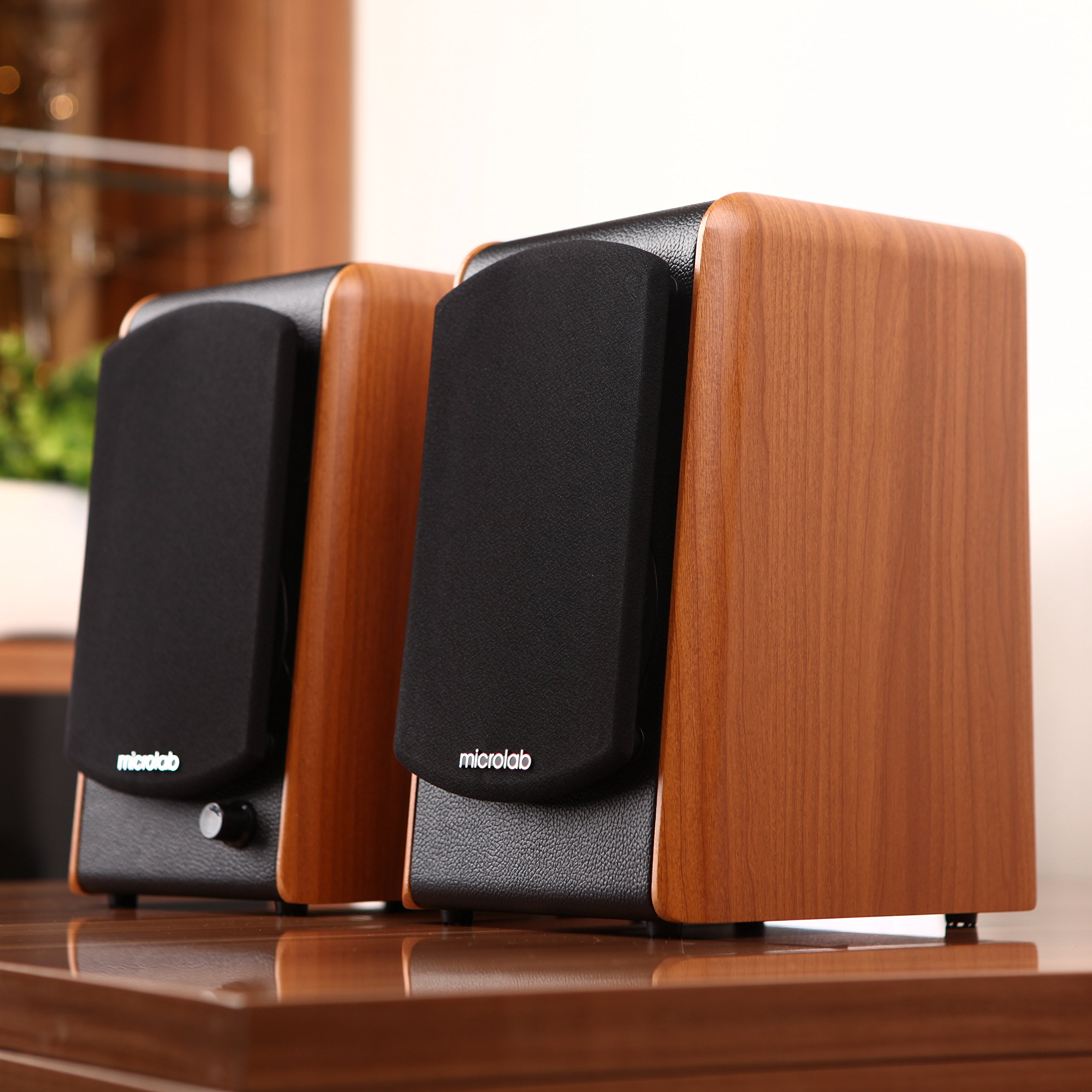 Microlab B77 Acoustic HiFi Subwoofer Home Theater Amplifier Satellite