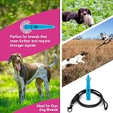 The Dog Lady TDL Gun Dog Training Whistle with Lanyard Sky Blue view 3