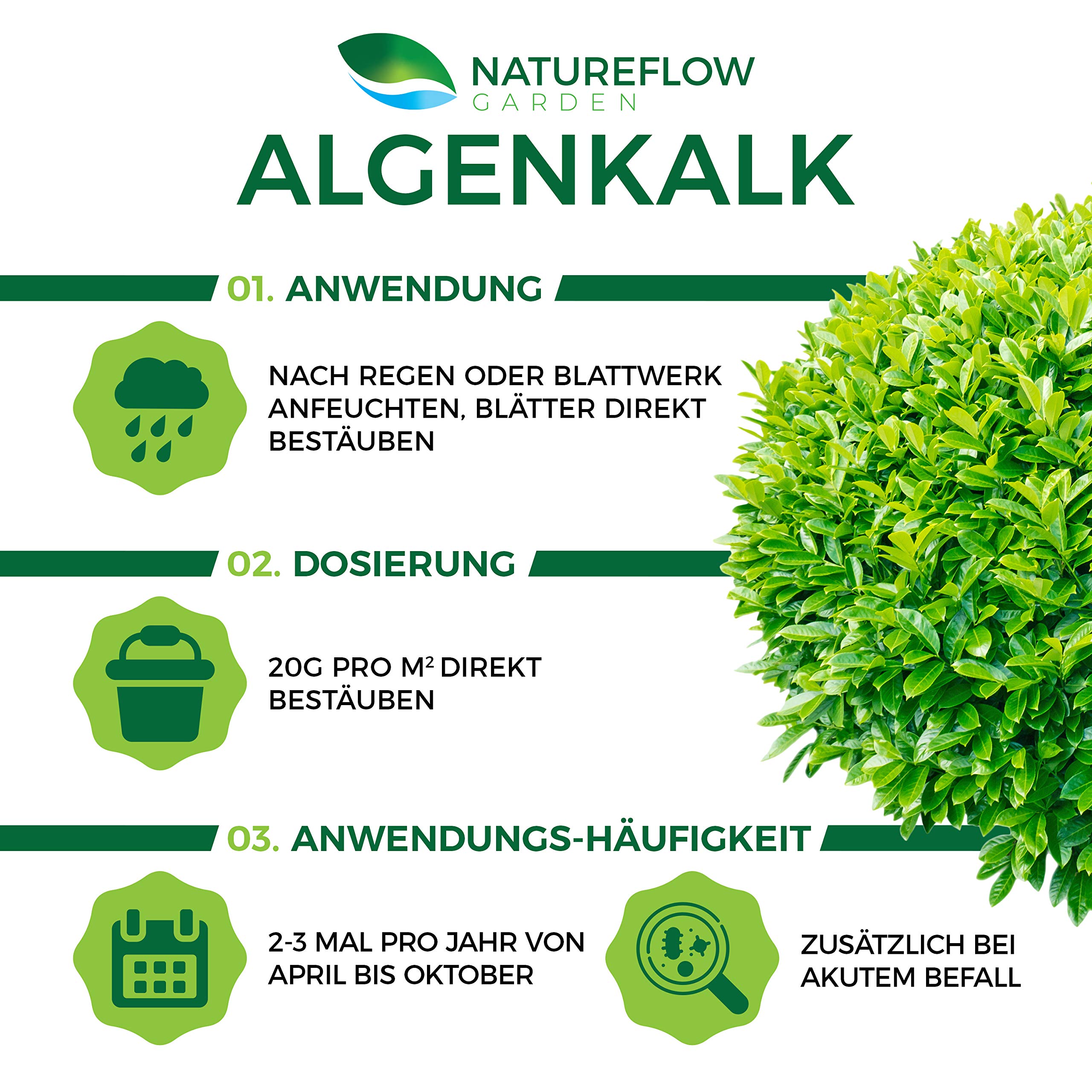 Mua TESTSIEGER Bio Algenkalk fr Buchsbume  Widerstandskraft und  Regeneration fr anfllige Buchsbume (Buchsbaumznsler) - Premium  Buchsbaum Dnger und Spritzmittel - Buchsbaumdnger 2,5kg trn Amazon c  chnh hng 2026 | Fado