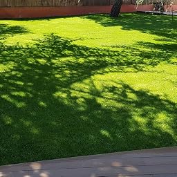 Envii Seafeed Xtra – Fertilizante orgánico líquido de algas ...