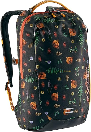 eagle creek travel backpack