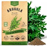 Organo Republic Arugula Roquette Seeds Pack 5G - Over 2900 Non-GMO Heirloom Arugula Seeds for Planting Greens in Individual Seed Packet, Greens Seeds for Planting Home Garden Indoor &amp; Outdoor Garden