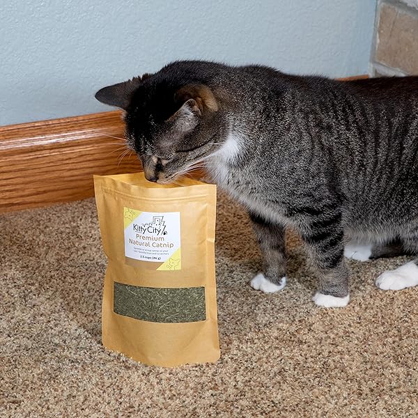 KITTY CITY CAT PREMIUM NATURAL CATNIP COLLECTION, CATNIP BAG